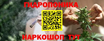 ешки Краснознаменск