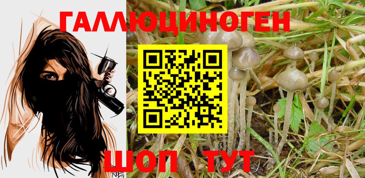 Шатура  Галлюциногенные грибы Magic Shrooms  Вход с VPN 