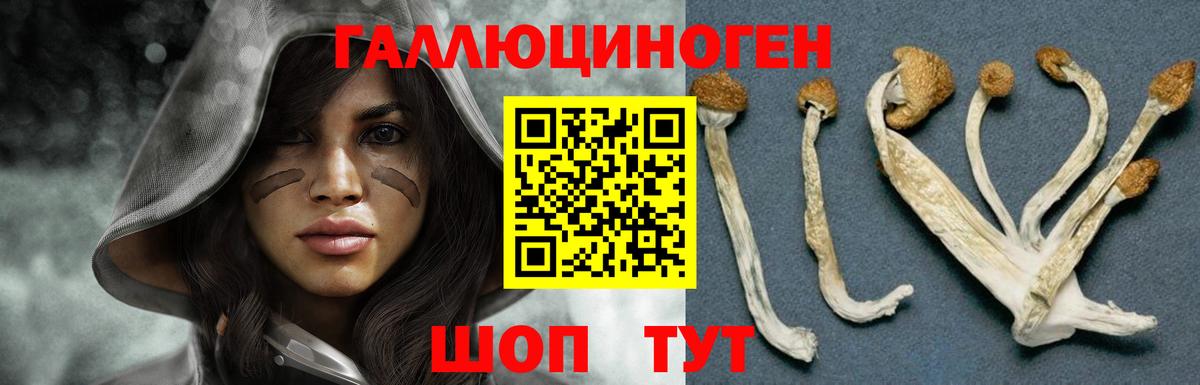 Псилоцибиновые грибы мухоморы Шатура